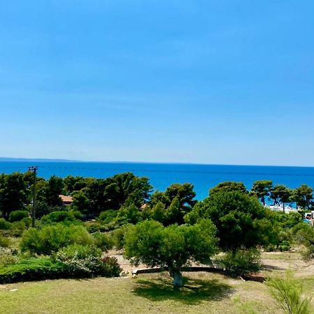 Olivia Estate Villa With Private Swimming Pool Elia Nikitis Esterno foto