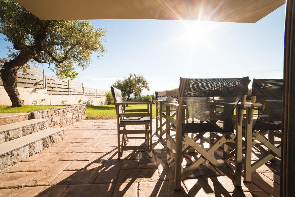Olivia Estate Villa With Private Swimming Pool Elia Nikitis Esterno foto