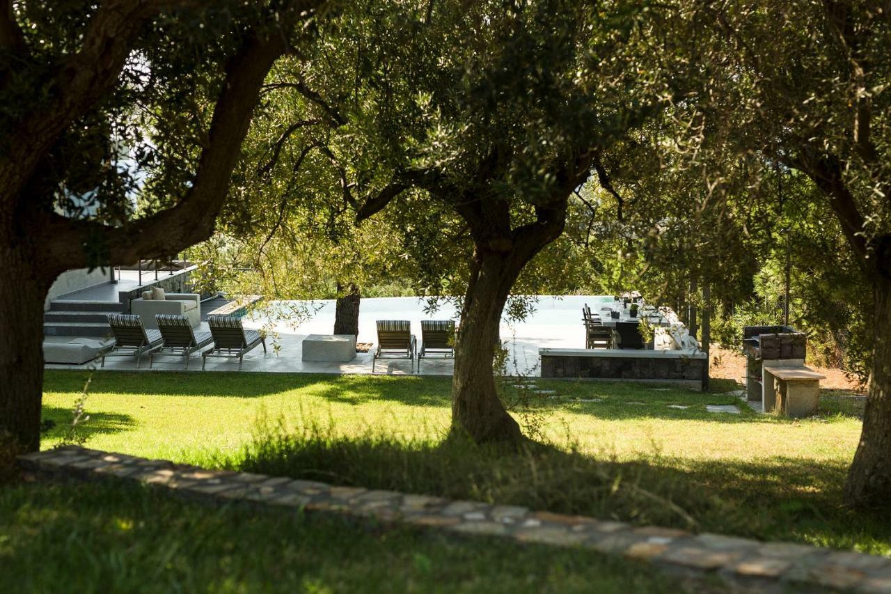 Olivia Estate Villa With Private Swimming Pool Elia Nikitis Esterno foto