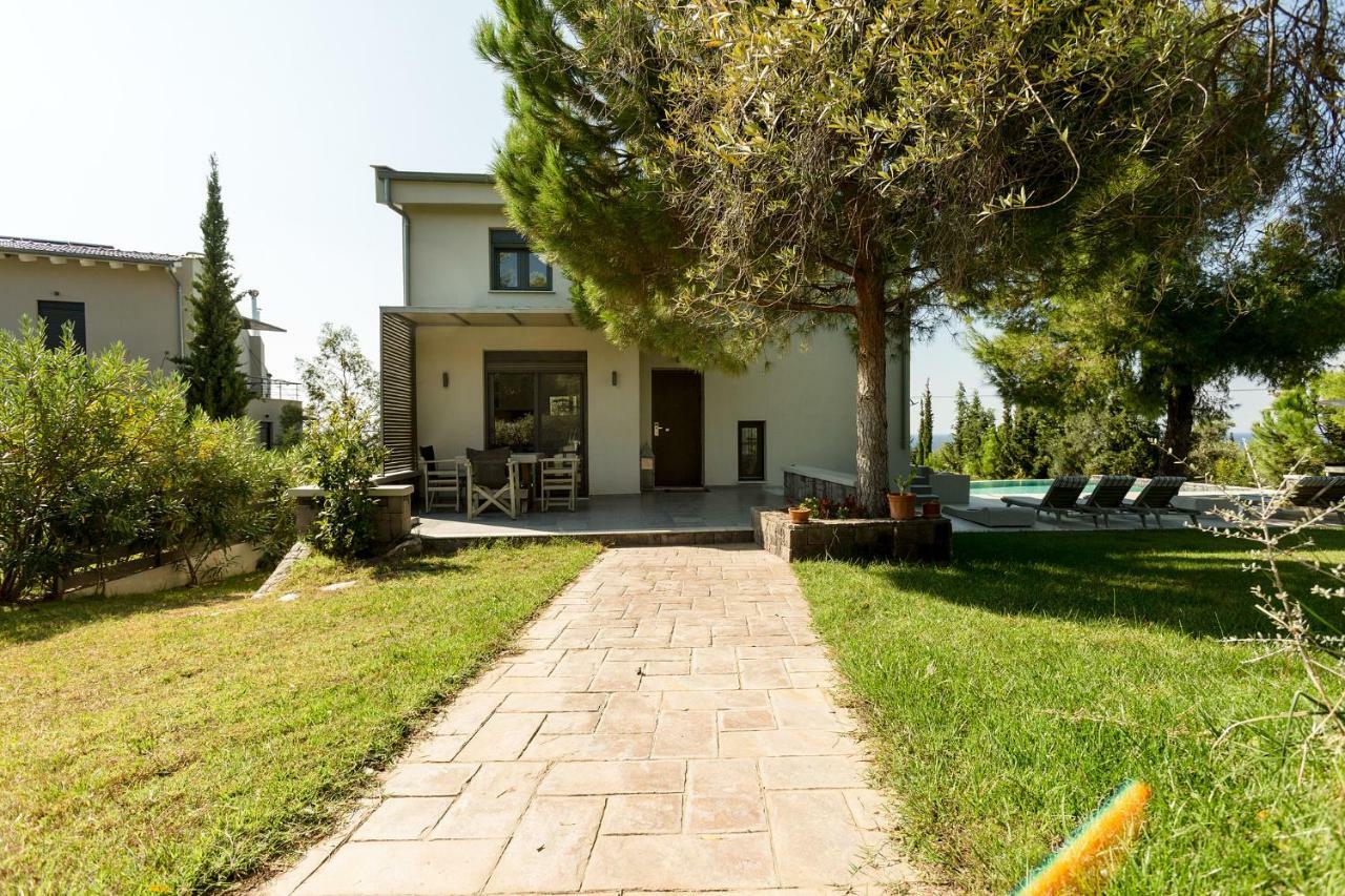 Olivia Estate Villa With Private Swimming Pool Elia Nikitis Esterno foto