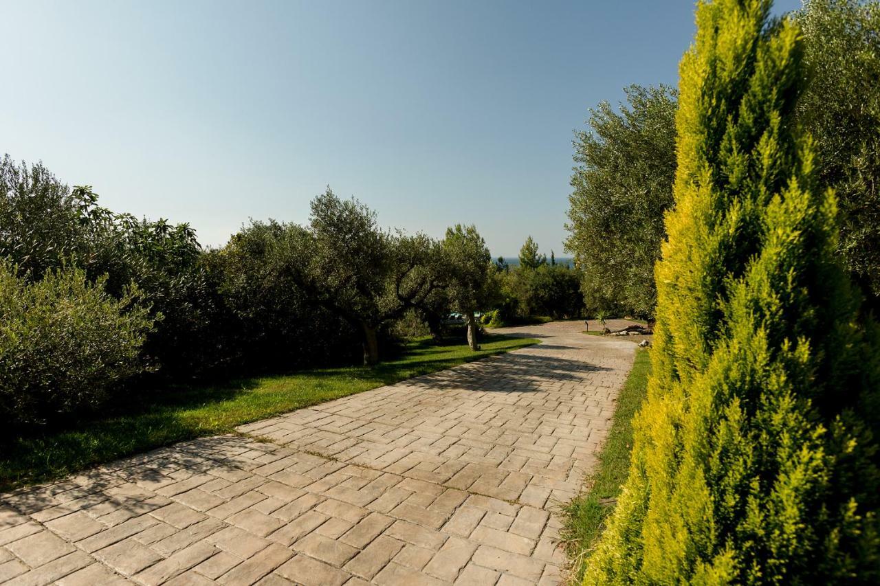 Olivia Estate Villa With Private Swimming Pool Elia Nikitis Esterno foto