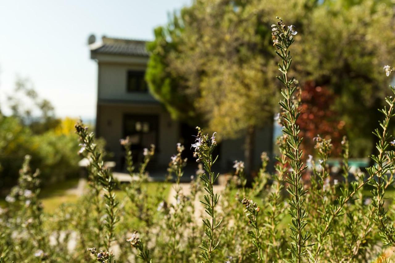 Olivia Estate Villa With Private Swimming Pool Elia Nikitis Esterno foto